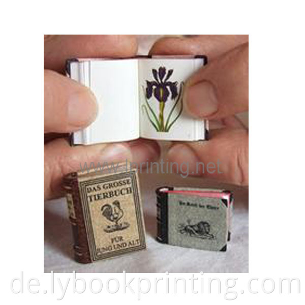 Mini Buch kleiner kleiner Buchdruckfiguren Buch